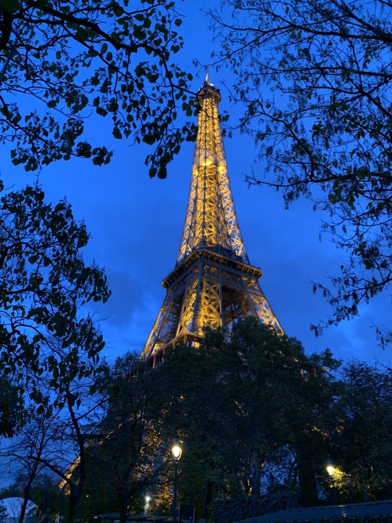 Paris and its majestic tower